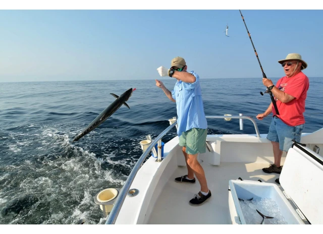 Троллинг с использованием блесен: эффективные методы