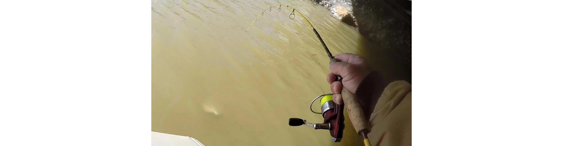 Воблеры для ловли в мутной воде