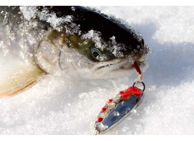 Зимняя рыбалка с использованием блесен: особенности подхода